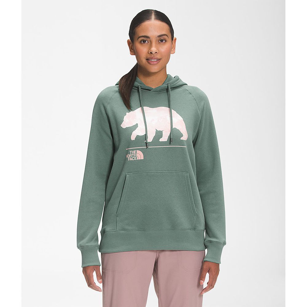 The North Face Sweatshirts Womens Australia - The North Face Bearscape 2.0 Pullover Hoodie Green (NR